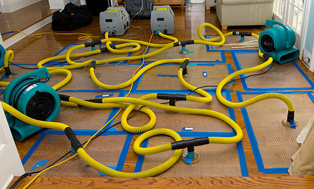 Professional Crawl Space Water Removal technician working in Carbondale, KS